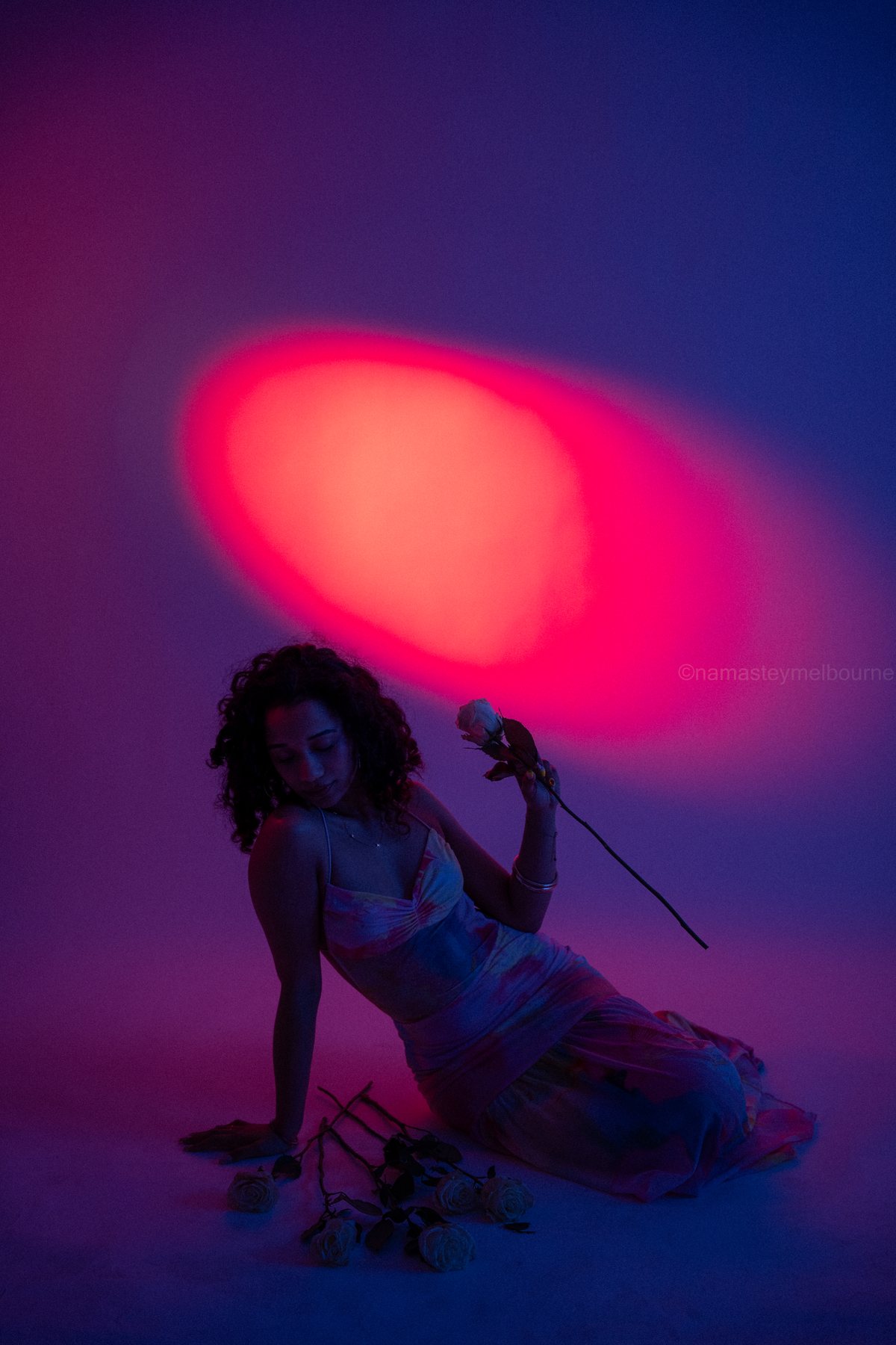 Creative studio portrait — seated with a white rose under a pink gel spotlight, Melbourne studio
