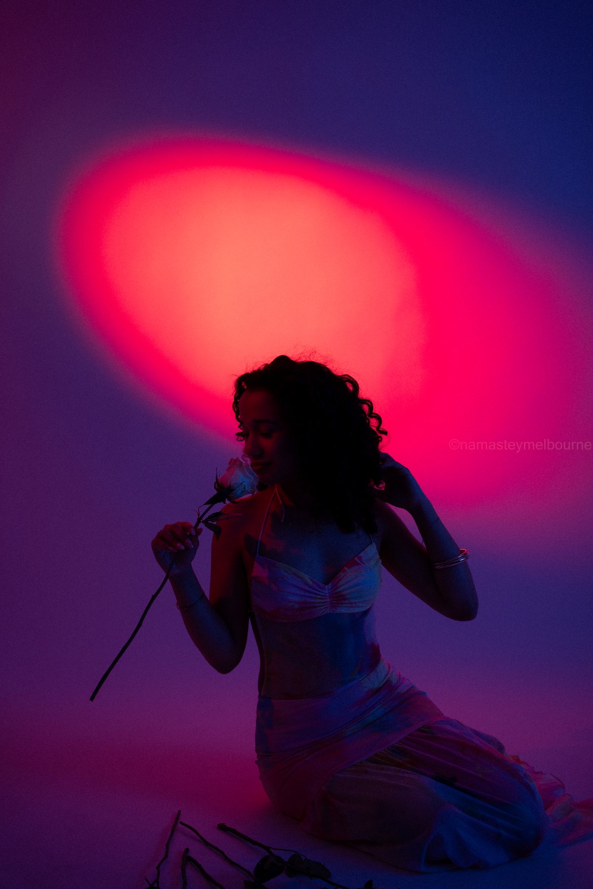 Creative studio portrait — kneeling, smelling a rose under a pink and violet gel spotlight, Melbourne studio